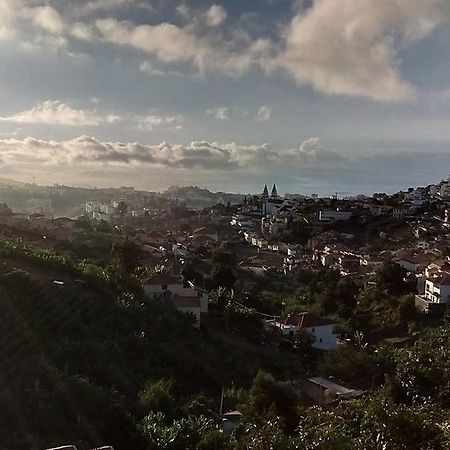 Vista Funchal Διαμέρισμα Εξωτερικό φωτογραφία
