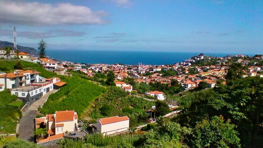 Vista Funchal Διαμέρισμα Εξωτερικό φωτογραφία